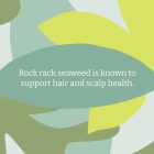 Faith in Nature Sampon Tengeri Hínár és Citrus 400 ml