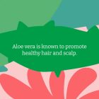 Faith in Nature Kondicionáló Aloe Vera 400 ml