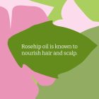 Faith in Nature Sampon Vadrózsa 400 ml