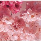 Faith in Nature Kondicionáló Vadrózsa 400 ml