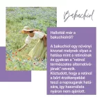Biona bakuchiol bőrápoló booster olaj 30ml