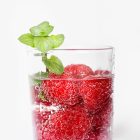 GasUp Quokka Bianco szódakészítő gép - fehér