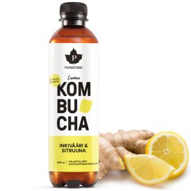 PUHDISTAMO Bio kombucha ital - Gyömbér citrom ízű 400ml