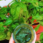 Monini extra szűz olívaolaj, bazsalikom ízesítésű 250ml 