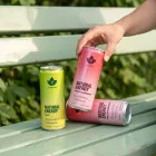 PUHDISTAMO Természetes Energiaital + Elektrolit - Erdei Eper 330 ml