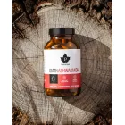 Puhdistamo  Ashwagandha 120 kapsz. 45g