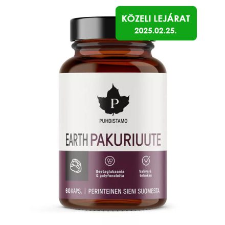 Puhdistamo Chaga kivonat - 60 kapszula