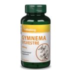 Vitaking Gymnema Sylvestre 400mg (90 db) Kapsz.