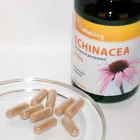 Vitaking Echinacea (Bíbor Kasvirág) Kivonat 250mg (90 db) Kapsz.
