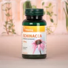 Vitaking Echinacea (Bíbor Kasvirág) Kivonat 250mg (90 db) Kapsz.