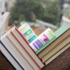 Jasön bio levendula stift dezodor 71g 