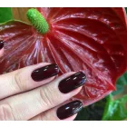 benecos natúr körömlakk - vamp 5ml