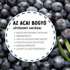 Vitaking Acai Berry Kivonat (60 db) Gélkapsz.