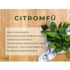 Vitaking Citromfű Levél 500mg (60 db) Kapsz. 