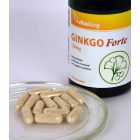 Vitaking Ginkgo Biloba Forte 120mg (60 db) Kapsz.
