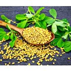 Vitaking Görögszéna Mag (90 db) Kapsz.