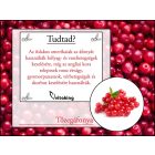 Vitaking Tőzegáfonya Koncentrátum 50:1 (90 db) Gélkapsz.